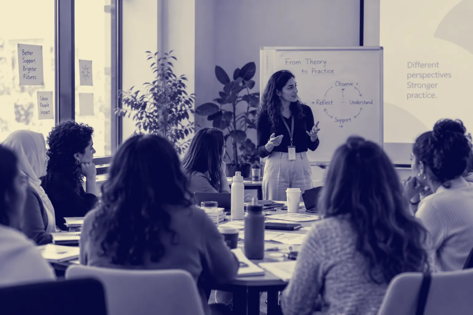 A trainer presenting to a room of practitioners